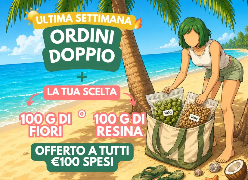 Il Meglio del CBD Online